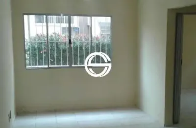 Apartamento com 2 dormitórios, 1 vaga, 53 m² - jardim lucinda