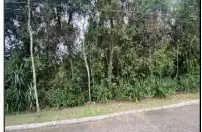 Oportunidade Única em VIAMAO - RS | Tipo: Terreno | Negociação: Licitação Aberta  | Situação: Imóvel