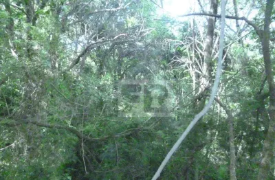 Terreno à venda, 5155 m² por r$ 288.000,00 - formosa - alvorada/rs