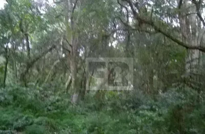 Terreno à venda, 300 m² por r$ 40.000,00 - águas claras - viamão/rs
