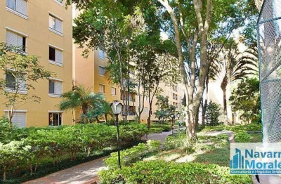 Apartamento com 3 dormitórios à venda, 80 m² por r$ 550.000,00 - vila morse - são paulo/sp