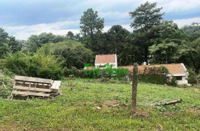 Terreno residencial à venda, 704 m² - vila de são fernando, granja viana.