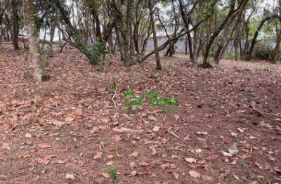 Terreno residencial à venda, 1575 m² - vila de são fernando, granja viana.