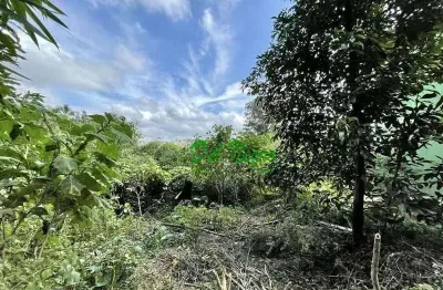 Terreno à venda na Rua São Vicente, Miolo da Granja, Cotia