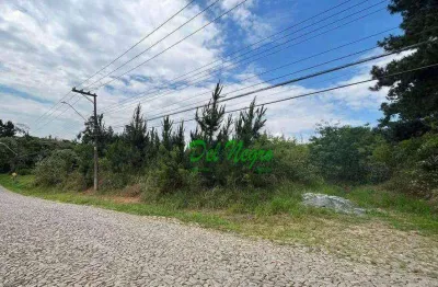 Área à venda dentro do paisagem renoir ii / iii, 4973 m² - granja viana.