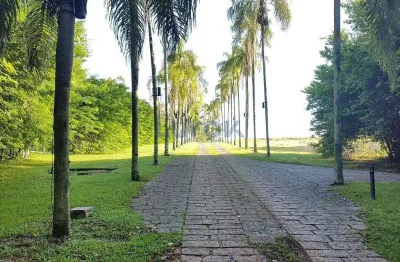 Terreno à venda 20032m², condomínio reserva da floresta, campinas - sp | condomínio reserva da flor