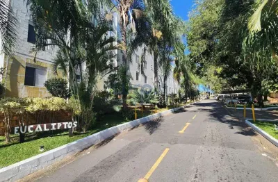 Apartamento pq. dos eucaliptos venda , vila padre manoel de nóbrega, campinas, sp