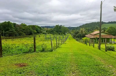 Chácara / sítio com 3 quartos à venda na Rodovia Lucio Roque Flaibam, Passa Três, Tuiuti