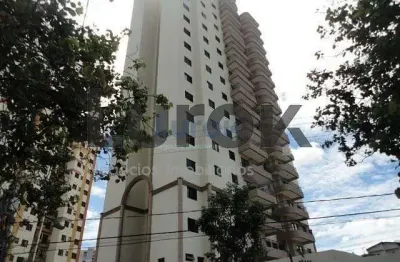 apartamento para Locação 2 Quartos, 1 Suite, 1 Vaga, 70M², Vila Olivo, Valinhos - Valinhos | Edific