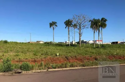 Terreno em condomínio fechado à venda na Rua Professora Berenice Paranhos da Luz, João Alves, Santa Cruz do Sul