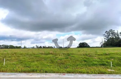 Terreno à venda na Avenida Prefeito Orlando Oscar Baumhardt, Linha Santa Cruz, Santa Cruz do Sul