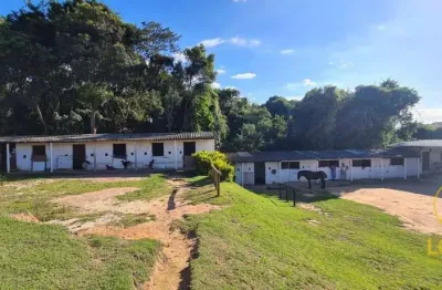 Rancho com 2 dormitórios à venda, 300 m² por r$ 700.000,00 - jardim paraiso - mairiporã/sp