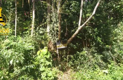 Terreno à venda, 750 m² por r$ 75.000,00 - pedra vermelha - mairiporã/sp