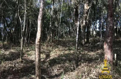 Terreno à venda, 1375 m² por r$ 220.000,00 - pirucaia - mairiporã/sp