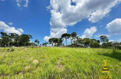 Terreno à venda, 1700 m² por r$ 255.000,00 - sun valley - mairiporã/sp