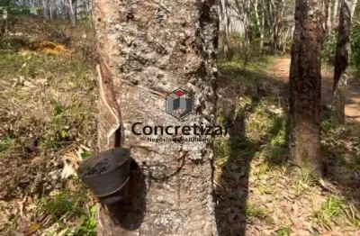 Fazenda de luxo à venda em guarapari-es: 3 quartos, 1 suite, 1 sala, 2 banheiros, 4 vagas, 1.728.796,10 m² de área.