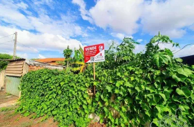 Terreno comercial à venda na Rua José Garrido, Jardim Marissol, Londrina