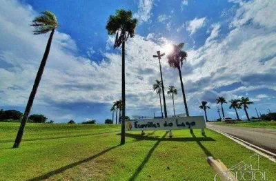 Terreno à venda, 2142 m² por r$ 400.000,00 - rodovia - sertanópolis/pr