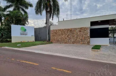 Casa em condomínio fechado com 4 quartos à venda na Rua Júlio Wakabayashi, Esperança, Londrina