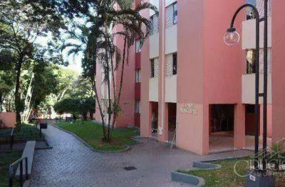 Apartamento com 3 dormitórios à venda, 75 m² por r$ 285.000,00 - cláudia - londrina/pr