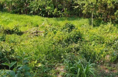 Terreno à venda, 1410 m² por r$ 200.000,00 - jardim nova cotia - itapevi/sp