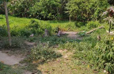 Terreno à venda na Rua Periquito, Jardim Nova Cotia, Itapevi