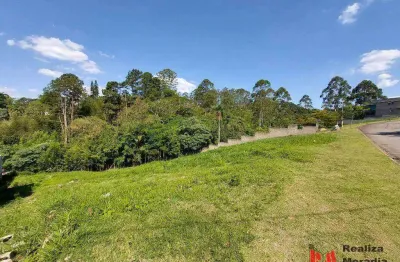 Terreno à venda, 502 m² por r$ 213.000,00 - portal do santa paula - cotia/sp