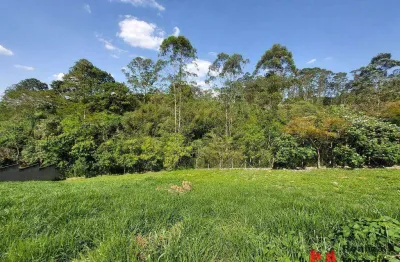 Terreno à venda, 503 m² por r$ 213.300,00 - portal do santa paula - cotia/sp