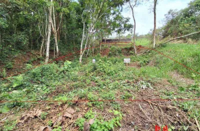 Terreno à venda, 555m² por r$ 249.800 - granja viana - cotia/sp