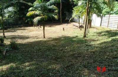 Terreno em condomínio fechado à venda na Via das Begônias, 533, Jardim Colibri, Cotia