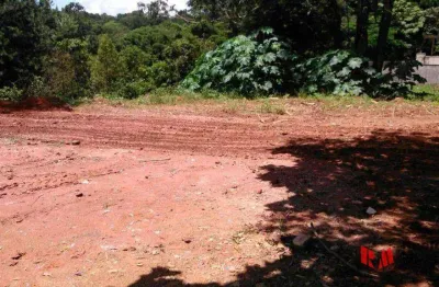 Tertreno de 1.410 m² - declive - chácara santa lucia - carapicuíba