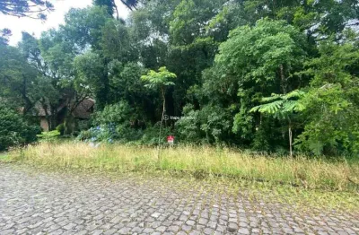 Terreno à venda na carlos felipe spindler, bosque sinoserra, canela por r$ 768.500