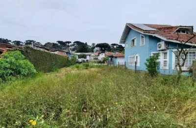 Terreno à venda na são paulo, 100, palace hotel, canela por r$ 400.000