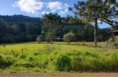 Terreno à venda na linha tapera, linha tapera, gramado por r$ 1.100.000