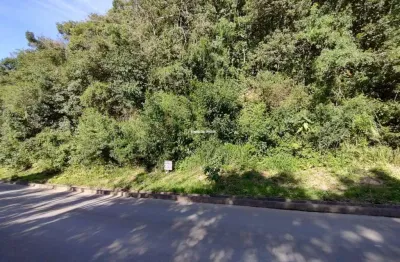 Terreno à venda na cezare vaccare, alpes verdes, canela por r$ 389.900