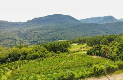 Terreno à venda na quilombo alto, 100, quilombo alto, gramado por r$ 7.700.000