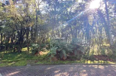 Terreno em condomínio fechado à venda na 01, 3, parque pinheiro grosso, canela por r$ 650.000