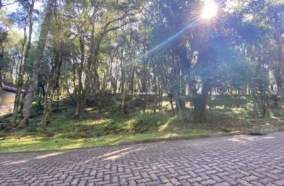 Terreno em condomínio fechado à venda na 01, 3, parque pinheiro grosso, canela por r$ 650.000