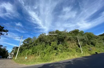 Terreno à venda na estrada do caracol rs 466, suzana, canela por r$ 7.500.000