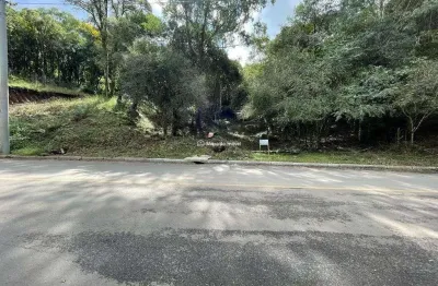 Terreno à venda na gravataí, 100, santa terezinha, canela por r$ 350.000
