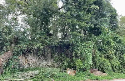 Terreno à venda na jacques brierre, palace hotel, canela por r$ 585.000
