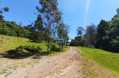 Terreno à venda na joão carlos camerini, 888, carazal, gramado por r$ 11.900.000