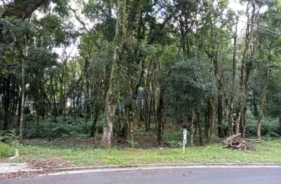 Terreno à venda na a, floresta, gramado por r$ 680.000