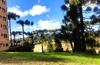 Terreno em condomínio fechado à venda na dos tucanos, centro, canela por r$ 1.300.000