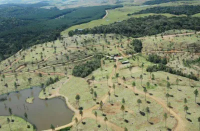 Terreno à venda na rua dona carlinda, 1000000, centro, canela