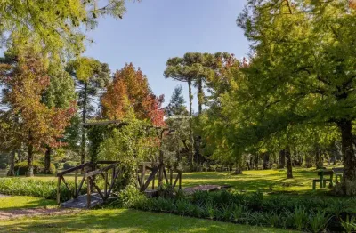 Casa com 3 quartos à venda na florida, 2, parque laje da pedra, canela por r$ 3.300.000