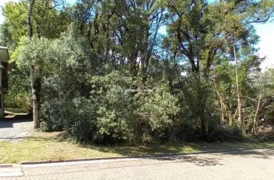 Terreno à venda na pessegueiro, vivendas do arvoredo, gramado por r$ 620.100