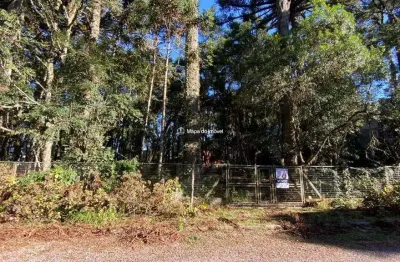 Terreno à venda na dona luiza correa, 544, suzana, canela por r$ 2.650.000