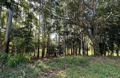 Chácara / sítio à venda na morro agudo, 1, serra grande, gramado por r$ 450.000