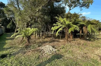Terreno à venda na rua severino inocente zini, 2020202, jardim mariana, canela por r$ 775.000
